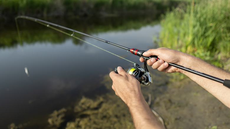 person fishing in lake