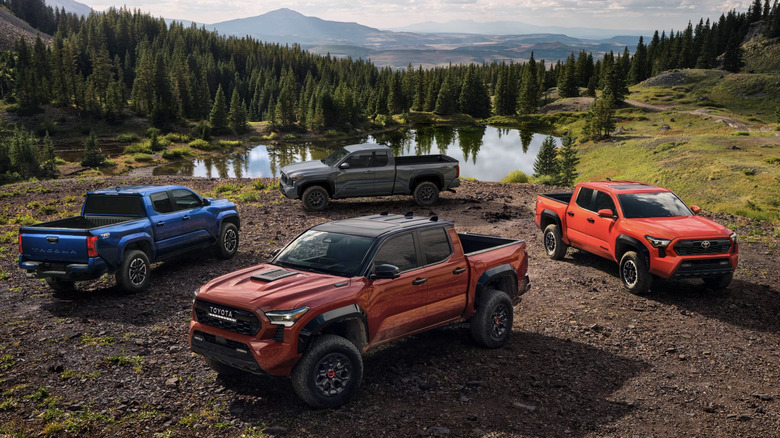 four Toyota Tacoma pickups parked in dirt in front of forest, mountains, and small lake