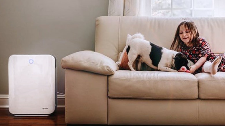 GermGuardian AC5900WCA on floor beside couch with dog and chile