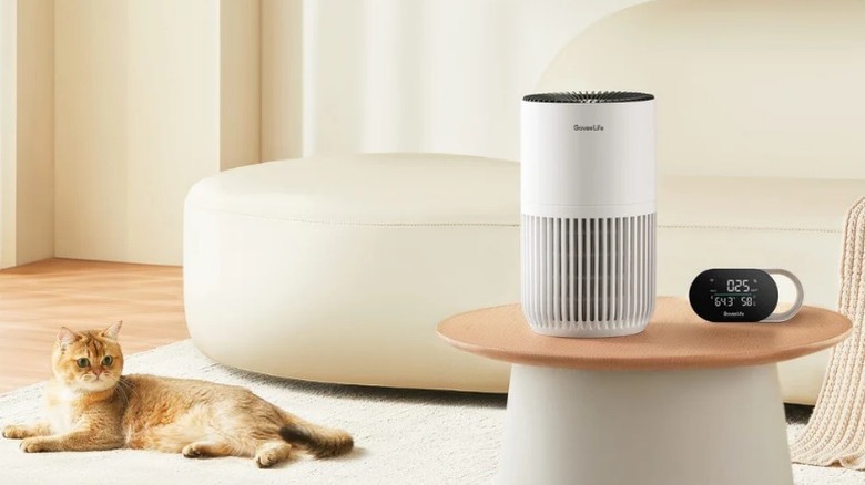 GoveeLife Smart Air Purifier Lite on table with cat on floor