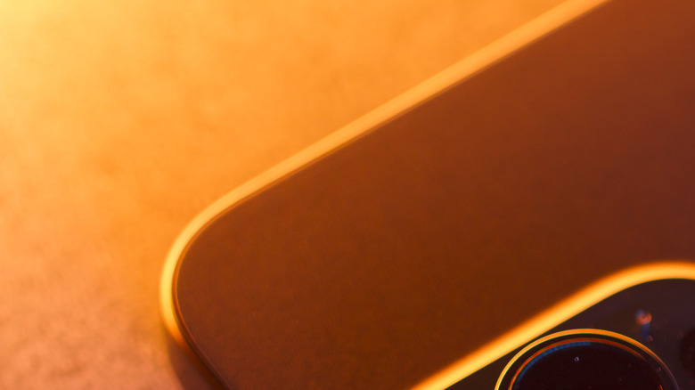 Close-up view of an iPhone's rear shell