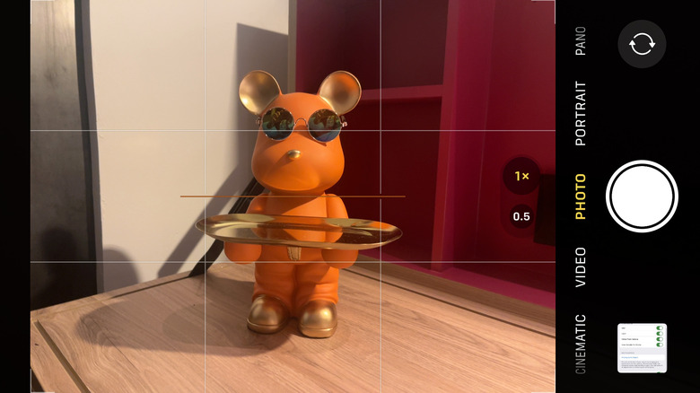 iPhone camera screenshot showing levels and grids