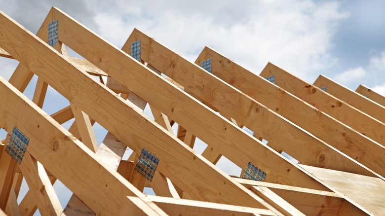 exposed building rafters