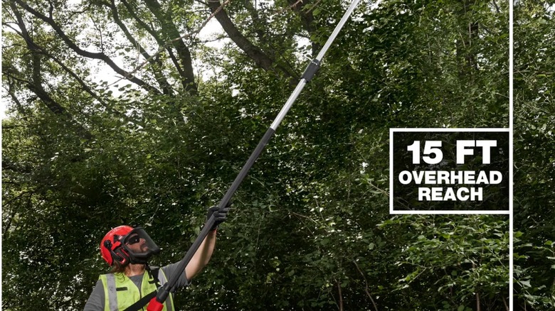 Man using a pole saw with 15-foot overhead reach