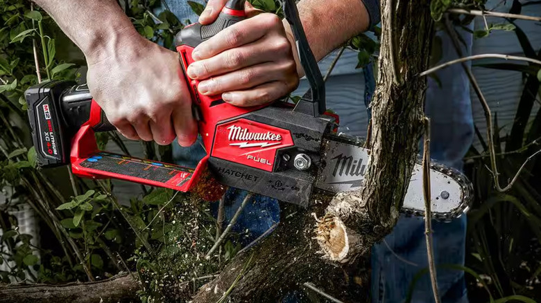 Pruning saw cutting tree branch