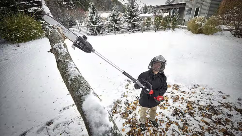 Man using pole saw to cut down tree limb