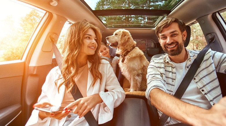 family driving with dog