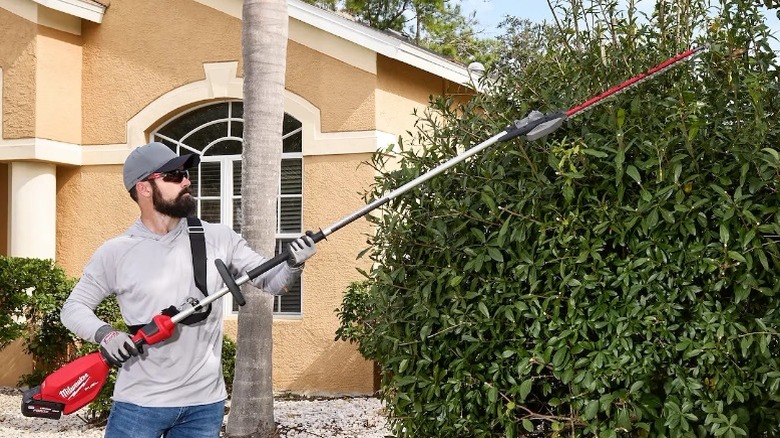 A person using an M18 Fuel Extended Pole Articulating Hedge Trimmer on a hedge.