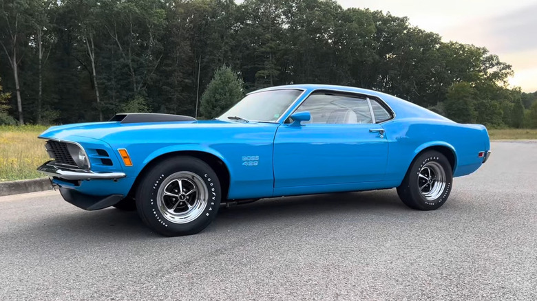 Blue Mustang parked next to trees