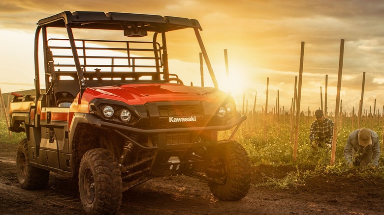 red kawasaki mule