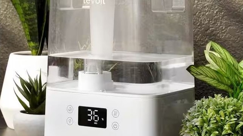 LEVOIT humidifier and diffuser