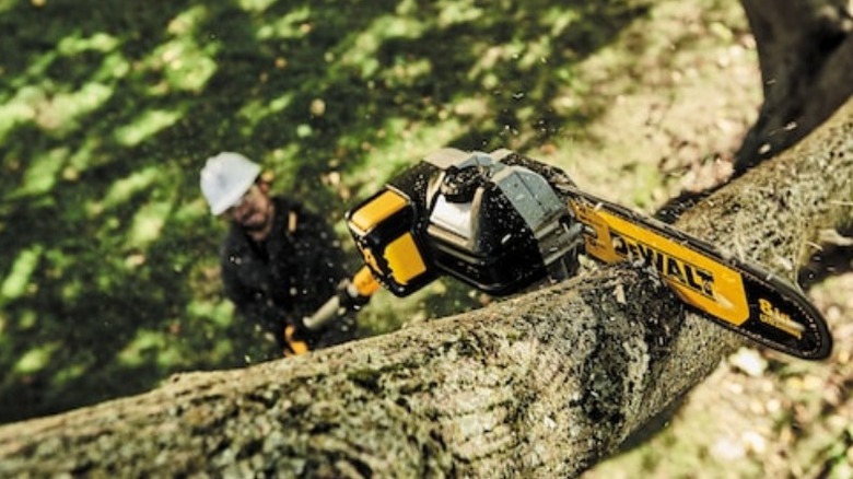 Person using DeWalt 20V Max XR Pole Saw to cut tree branch