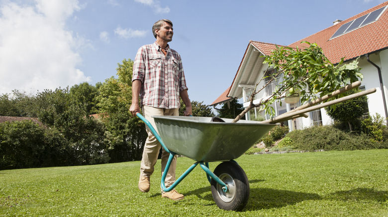 Person with wheelbarow on grass