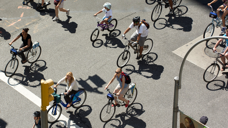 several cyclists on the road