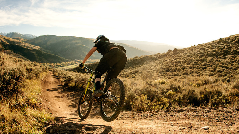 mountain biker