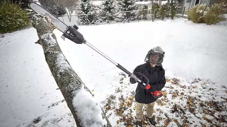 Man cutting tree branches with pole saw