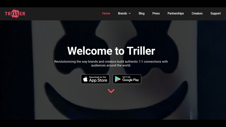 Triller homepage