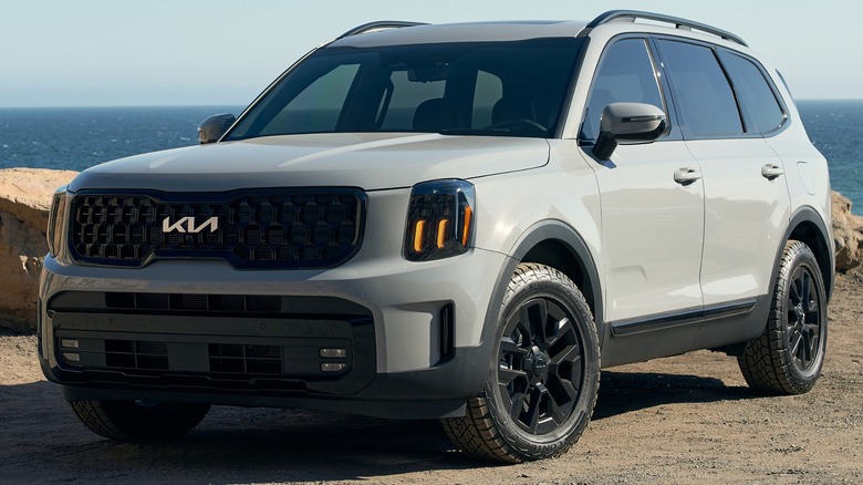 A gray 2025 Kia Telluride with a water background.