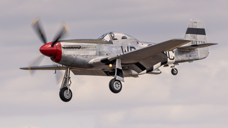 WWII Mustang P-51 in flight