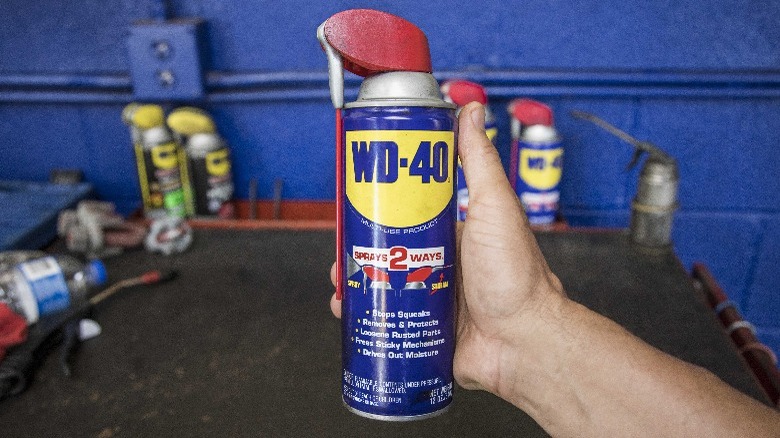 Person holding WD-40 can