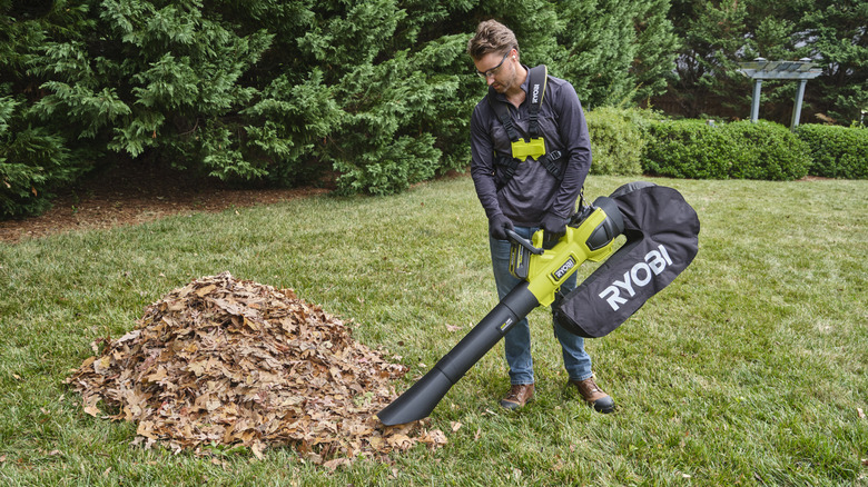 Person using 40V HP 600 CFM Cordless Leaf Blower/Mulcher/Vacuum on pile of leaves