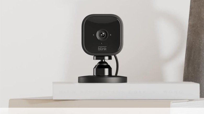 Blink motion sensor camera