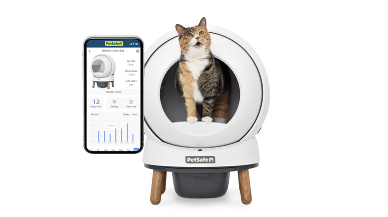 Cat inside PetSafe ScoopFree SmartSpin Litter Box with smart app shown