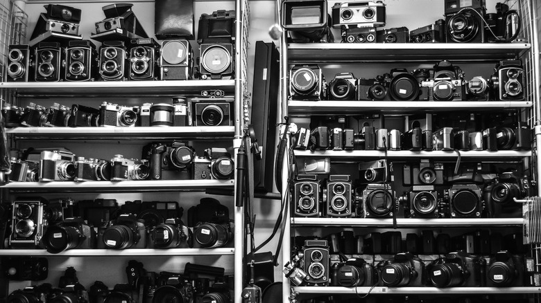 shelves full of old cameras