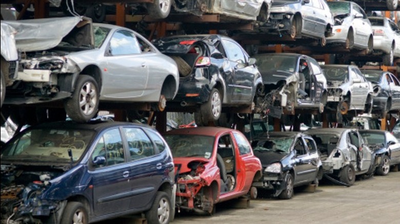 cars in a scrapyard