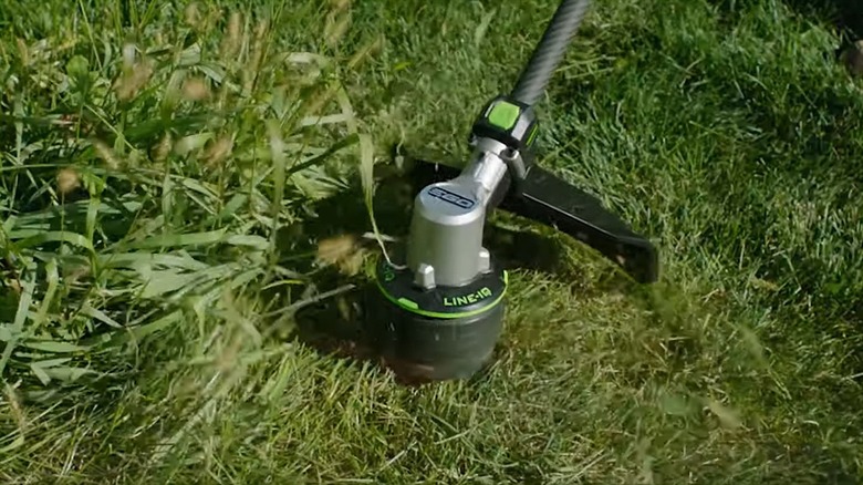 A close-up of an EGO string trimmer cutting long grass