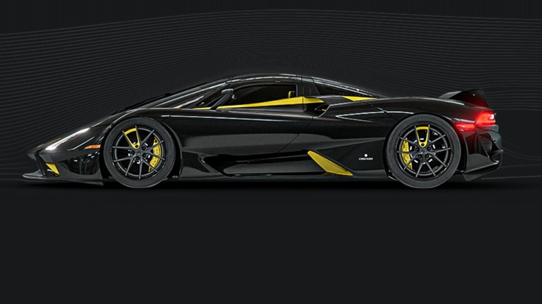 A black and yellow ssc tuatara