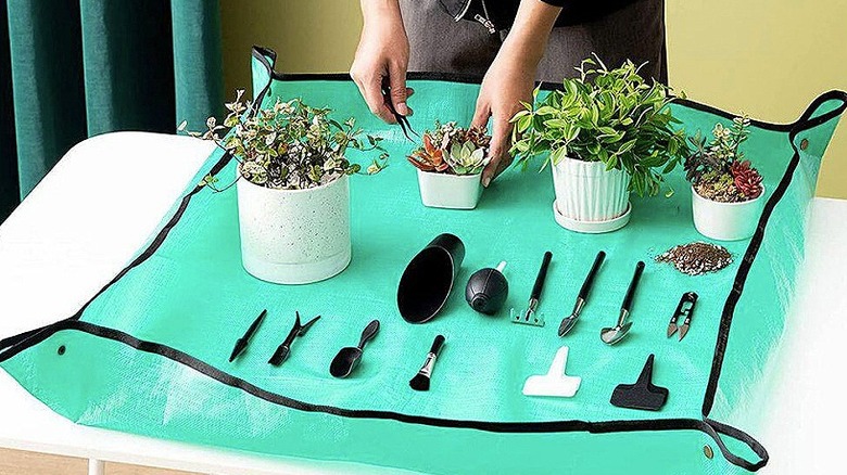 Person using a mini garden tool set