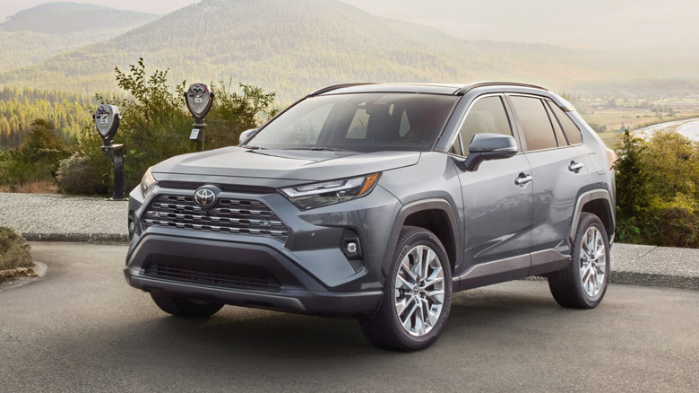 2025 Toyota RAV4 parked at mountain lookout