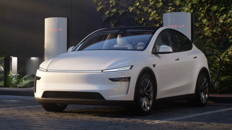 2025 Tesla Model Y