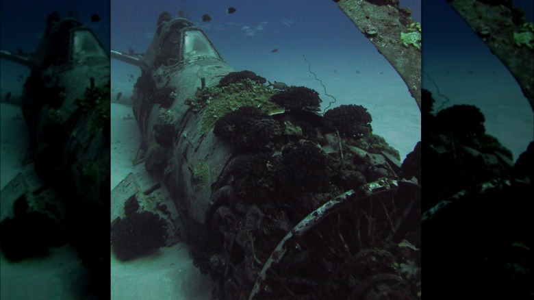 Corsair plane crash site Hawaii