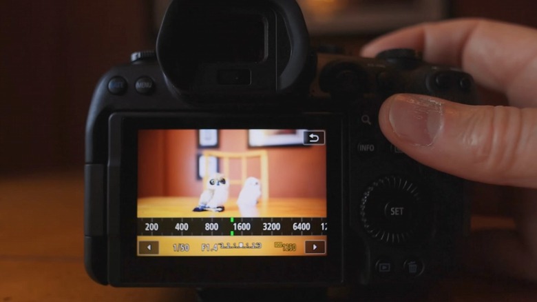 A hand adjusting the ISO on a DSLR camera