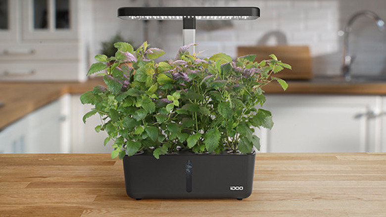 indoor hydroponics system