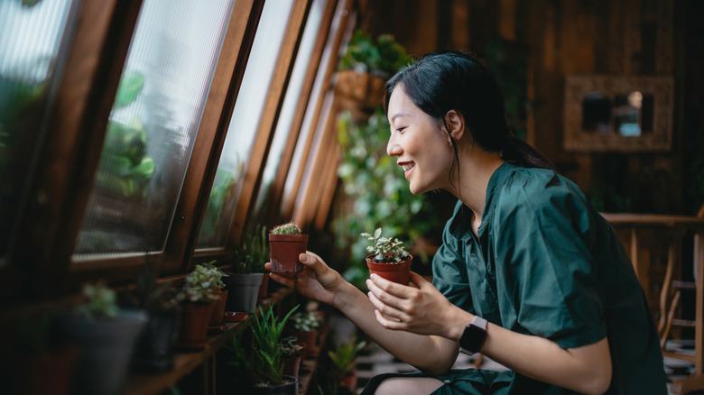 woman looking at houseplants