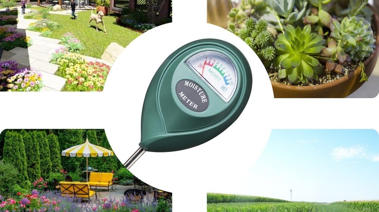 green moisture meter