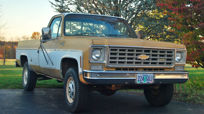 Mustard Yellow 1974 C10