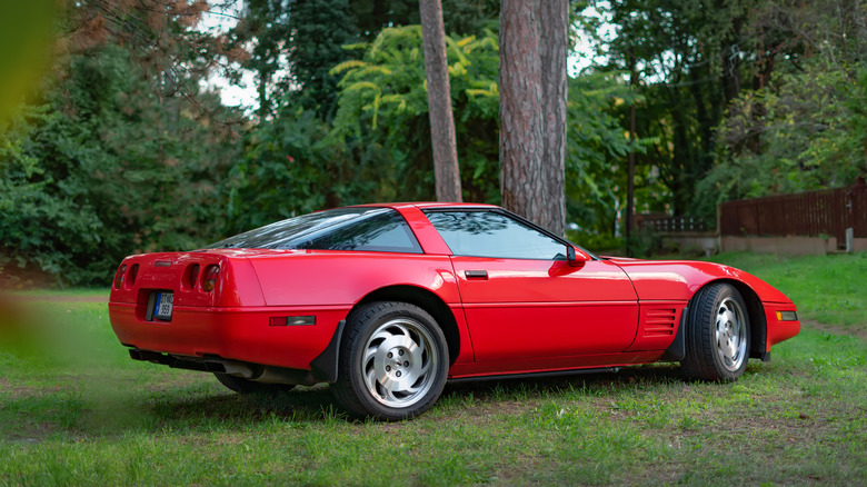 Red Corvette C4 in park on grass