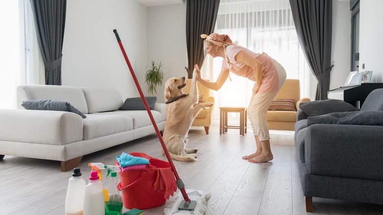 A woman plays with a dog in a living room, with cleaning products in the foreground