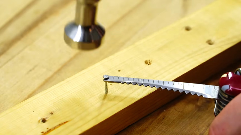 Person positioning nail to be hammered with fish scaler