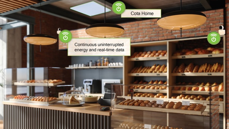 Cota in a cafe with two wireless cameras