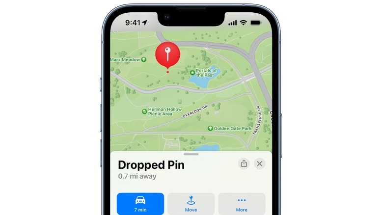 Apple Maps location pin