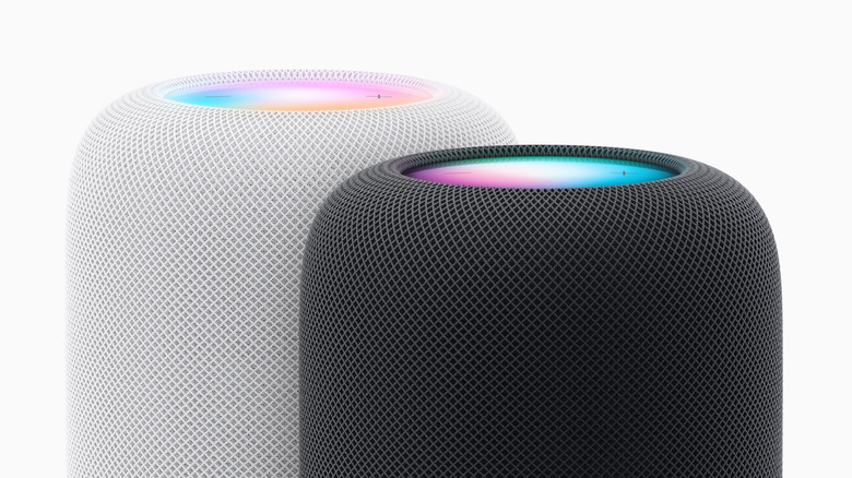 White and grey Apple HomePod