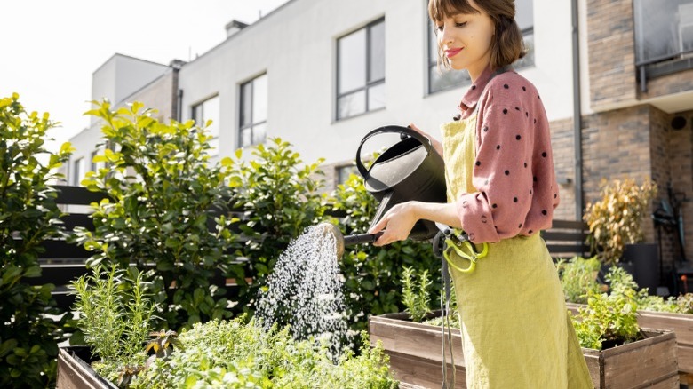 woman watering her plants