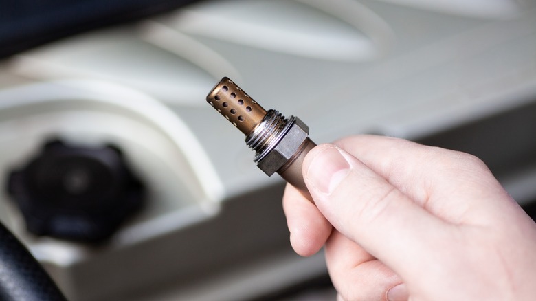 Person holding engine oxygen sensor