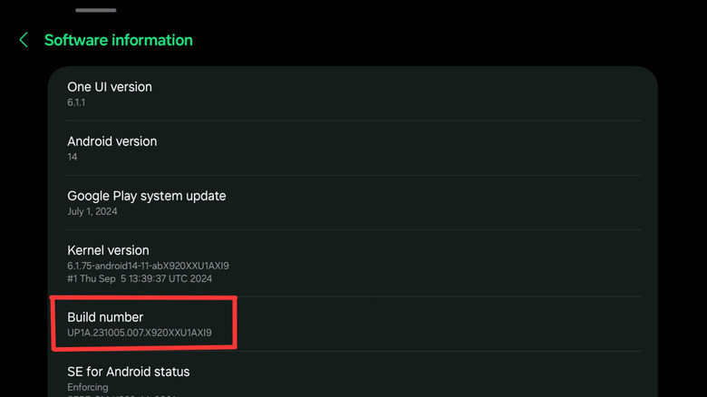 Software information in Samsung One UI settings