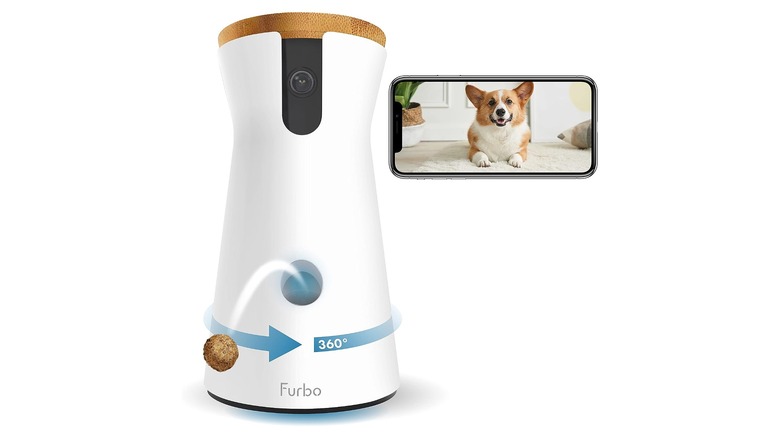 Furbo dog camera